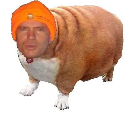 Distemper.jpg