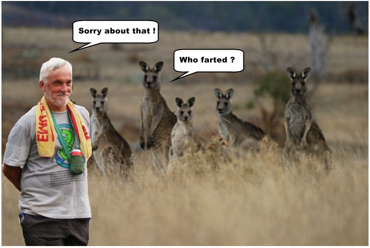 SquatterRoos.jpg
